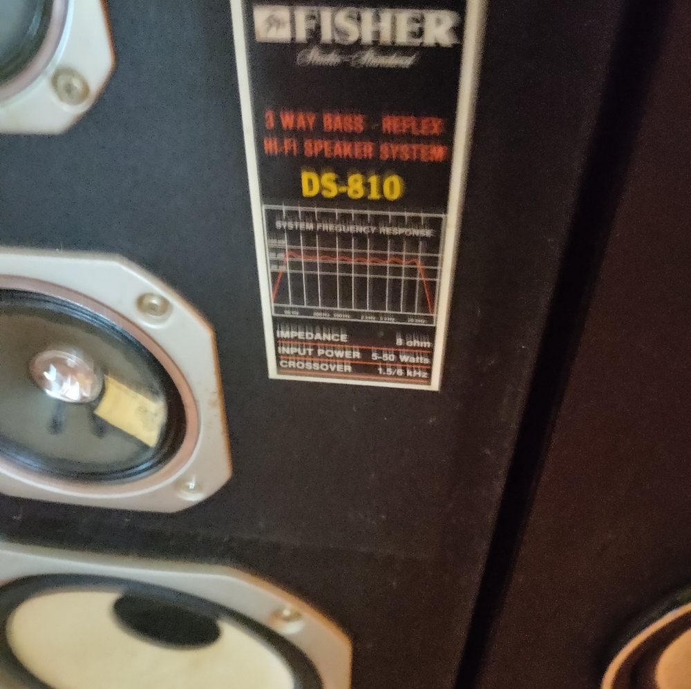 Set of Fisher floor speakers